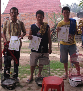 Juara I - III kelas Lovebird Sakti