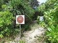 Teluk_Limau_trail_Bako_National_Park_71