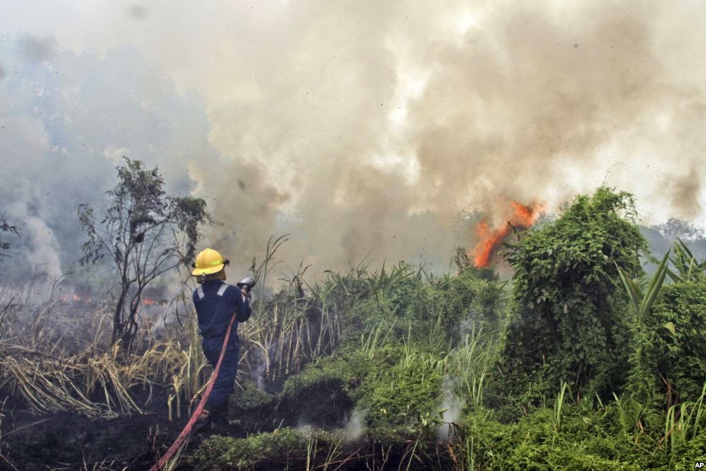 Kondisi Kebakaran Hutan di Riau - GOMUMU