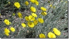 IMG_4913 (640x359)