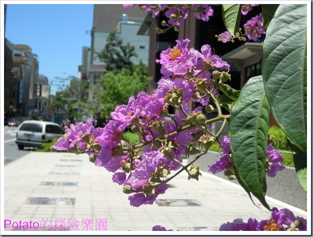 DSCN0900