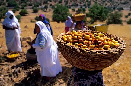 We care about the practices of our employees, which is why we work with people who value women and the traditional skills involved in harvesting and producing argan oil.
