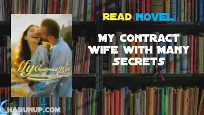 My Contract Wife with Many Secrets Novel