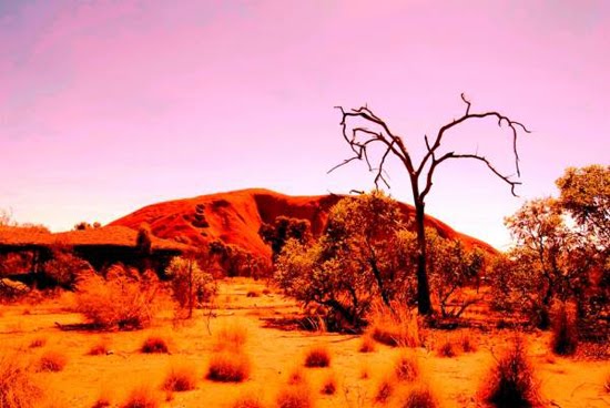 uluru nature photography