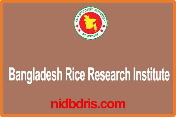 Bangladesh Rice Research Institute,  Bangladesh Rice Research Institute Job Circular 2022, brri job circular 2022, www.brri.gov.bd