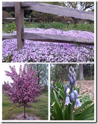 Botanical Gardens