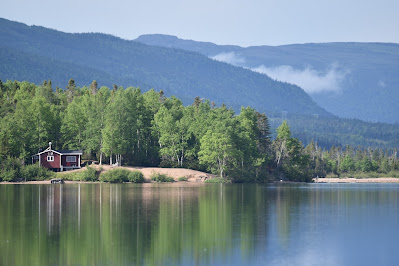 Boreal Forest Trailway Trail Newfoundland Canada.