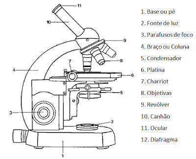 Image result for microscópio desenho