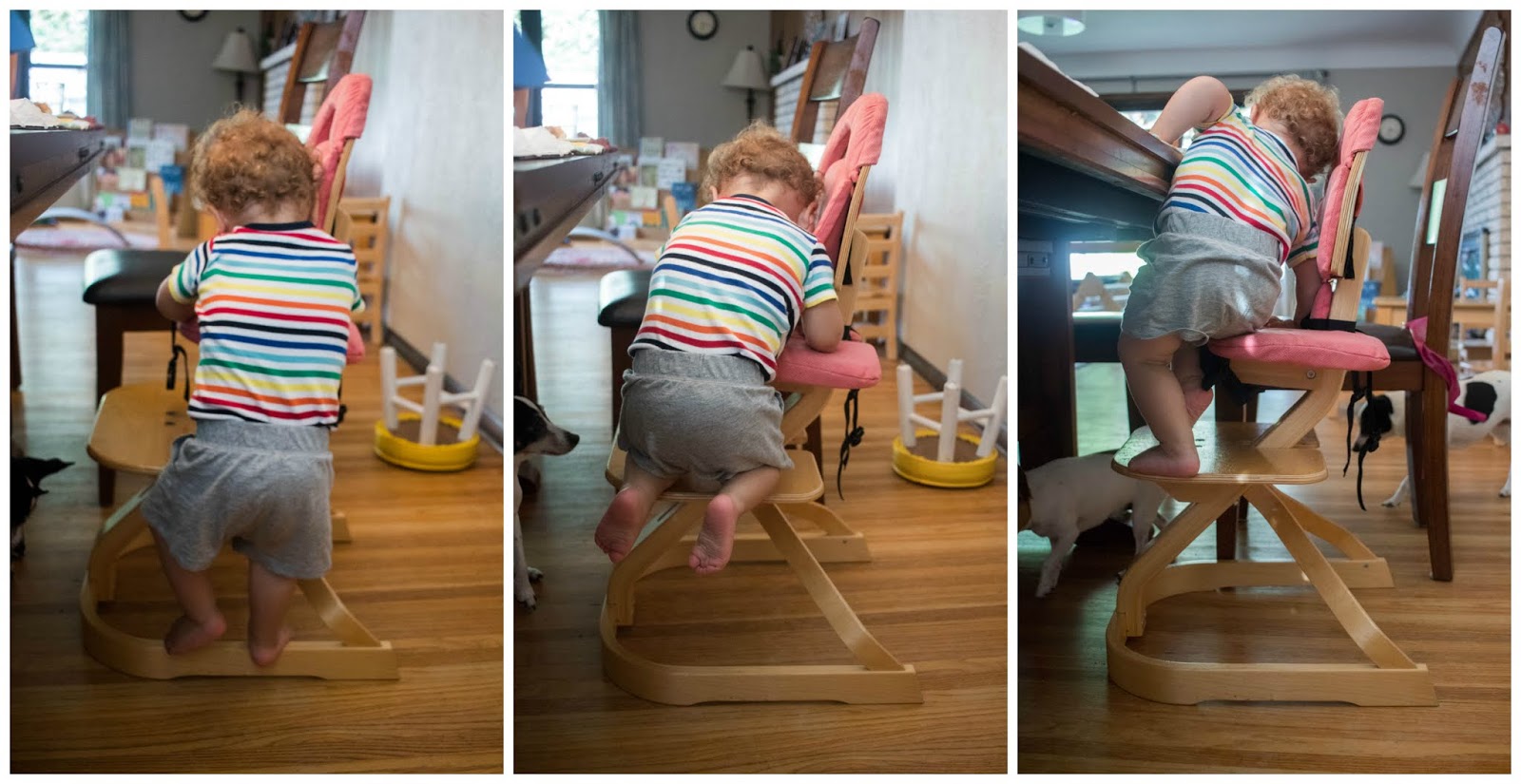 Reasons to Love Montessori Friendly Highchairs + Some Options 