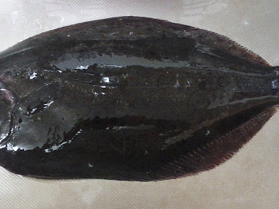 ヒラメ カレイ 大きさ 145991-ヒラメ カレイ 大きさ