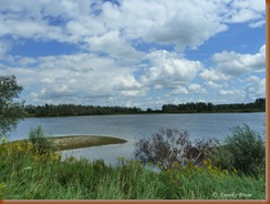 Millingerwaard