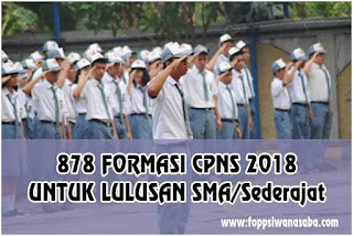  Tentang Pelaksanaan Seleksi Calon Pegawai Negeri Sipil  878 Formasi CPNS 2018 Untuk Lulusan SMA/Sederajat