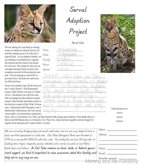 serval flyer2