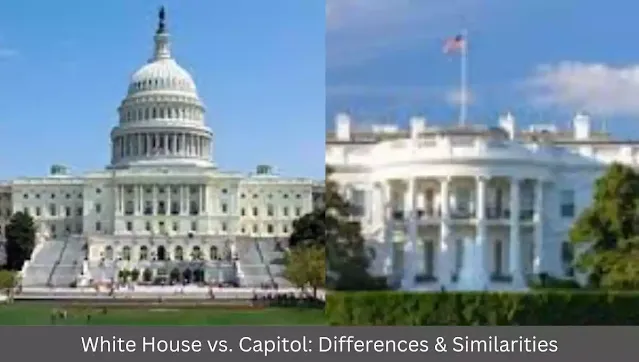white-house-vs-capitol-differences-similarities