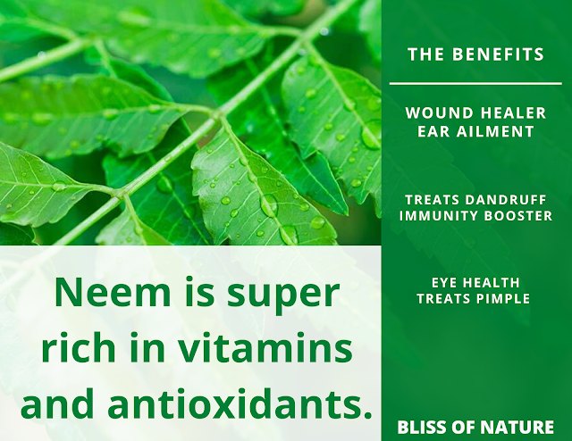 How to Use Neem For different purposes