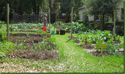 urban farm