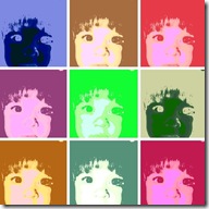 warholizer3841525[1]