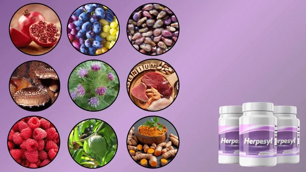 Herpesyl Ingredients
