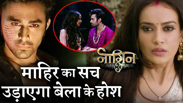 Naagin 3 Spoiler Alert : Vish in dilemma to reveal the truth to Bela