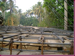DSC03200