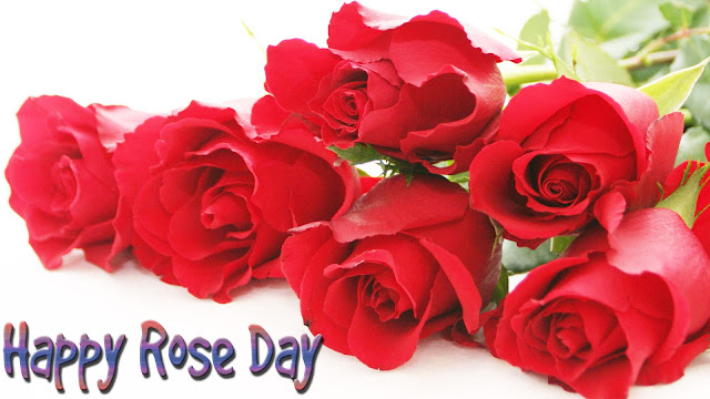 HD-Rose-for-rose-day-wallpaper