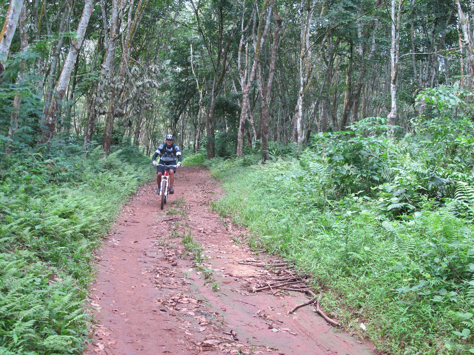 Perjalanan Sejarah Track impian  para bikers Hutan  Cidampit