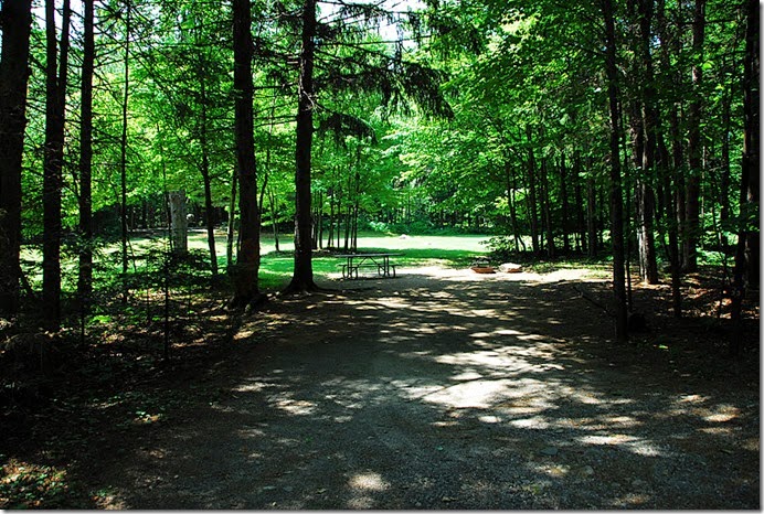 Moose Brook_033