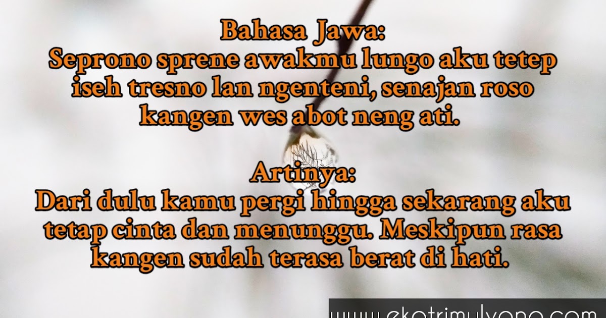  Kata Kata  Kangen Bahasa  Jawa  Dan  Artinya  Pengen Nangis