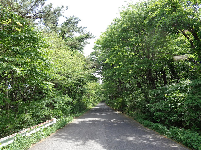 大山環状道路を帰ります