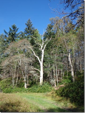 P5031698
