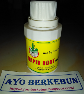 jual rapid root murah