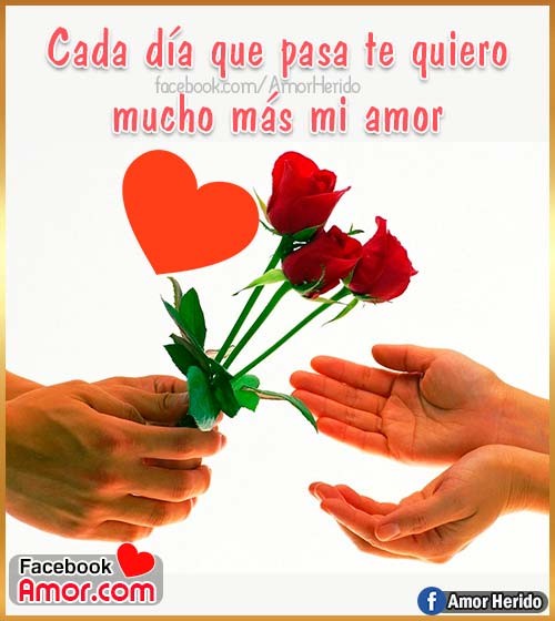 imágenes de rosas para amor