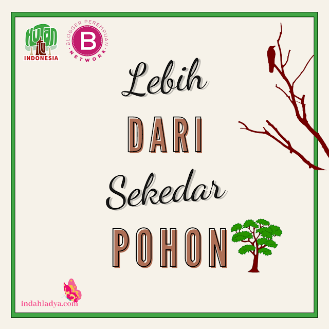 Lebih dari Sekedar Pohon