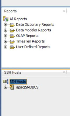 SSH Host Window