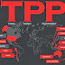 TPP: a longish peep at patents