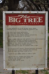 DSC_0039 [800x600]