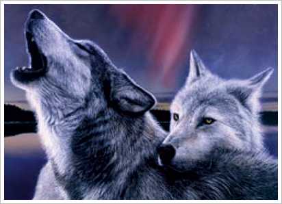  is a beautiful howling wolf. (some might have sense a Dog as well