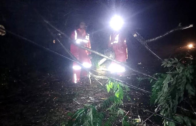 Hujan Deras Kamis (30/03) Malam, Pohon Tumbang Terjadi di Beberapa Titik Wilayah Kabupaten Kuningan 