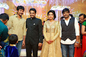 Amala paul vijay reception-thumbnail-32