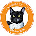 Día Nacional de los Gatos