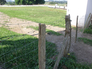 granja de patos Francia