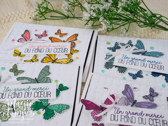 Ensemble de cartes avec Dale de papillons Stampin' Up!