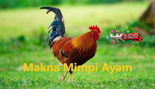 Tafsir Mimpi Ayam