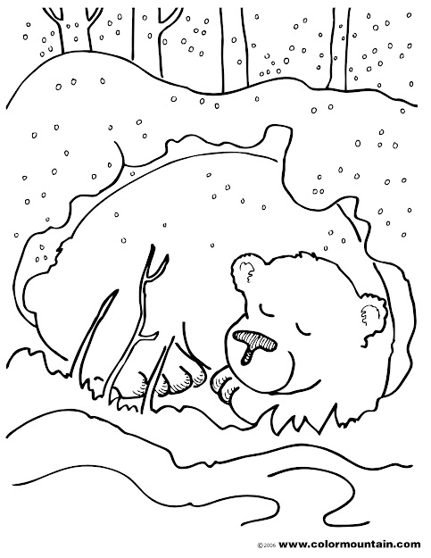  Coloring Pages Of Animals That Hibernate  Images About Hibernation  On Pinterest 