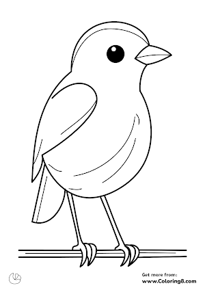 Cute bird coloring page