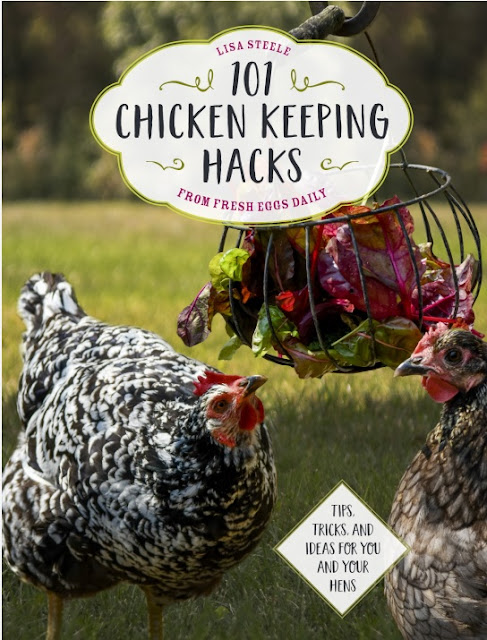 Your chickens will thank you for reading Lisa Steele's newest book 101 Chicken-Keeping Hacks!