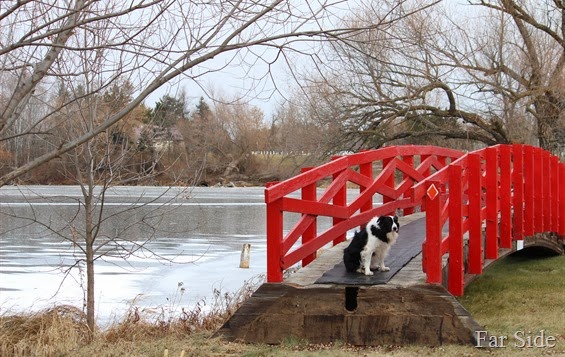 The Foot Bridge was moved