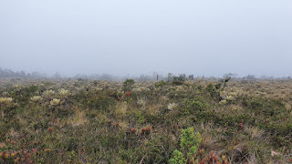 cerro el tablazo