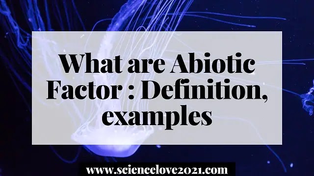 What are Abiotic Factor : Definition, examples
