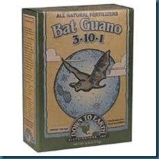bat guano